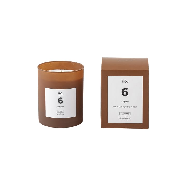 NO. 6 Sequoia duftlys, 200 g + Giftbox Illume x Bloomingville