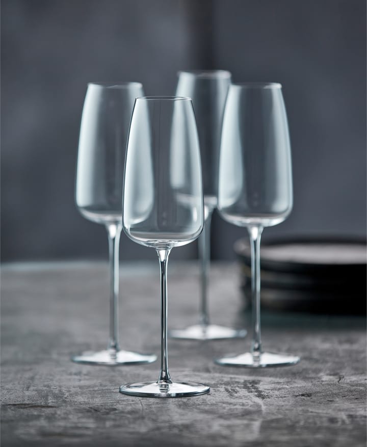 Veneto champagneglas 36 cl 2-pak, Clear Lyngby Glas
