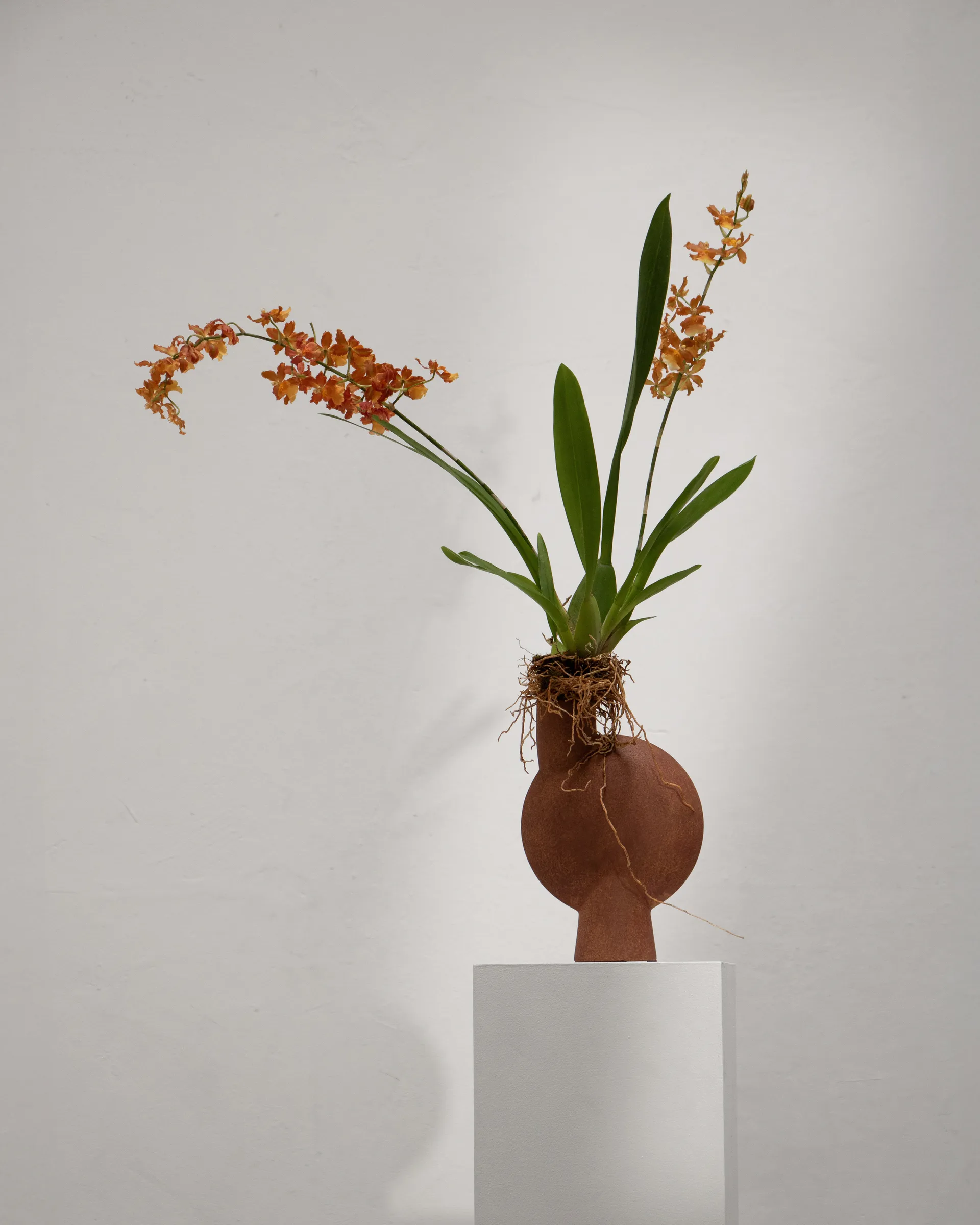 Sphere Bubl vase Midi, Terrakotta 101 Copenhagen