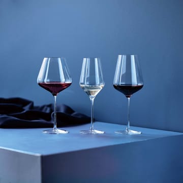 Connoisseur Extravagant rødvinsglas 64,5 cl 4-pak - Clear - Aida