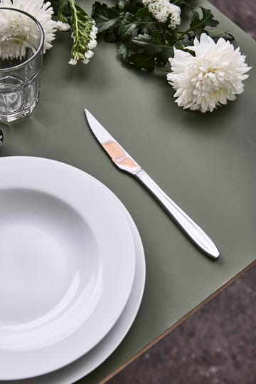 Gastro steakkniv - Rustfrit stål - Aida