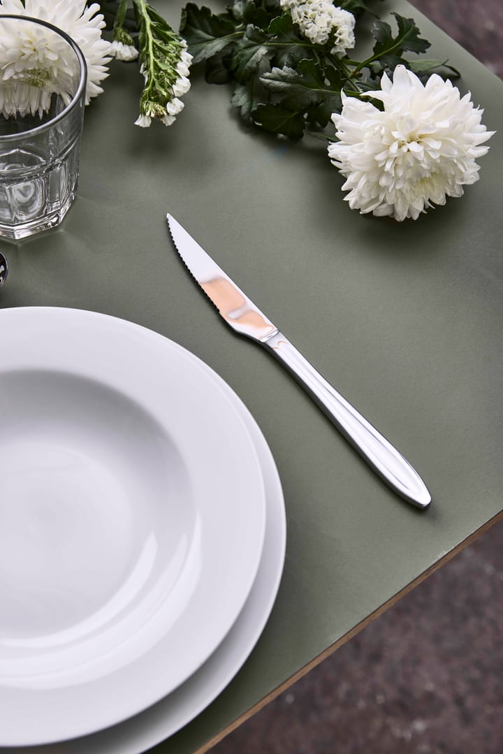 Gastro steakkniv, Rustfrit stål Aida