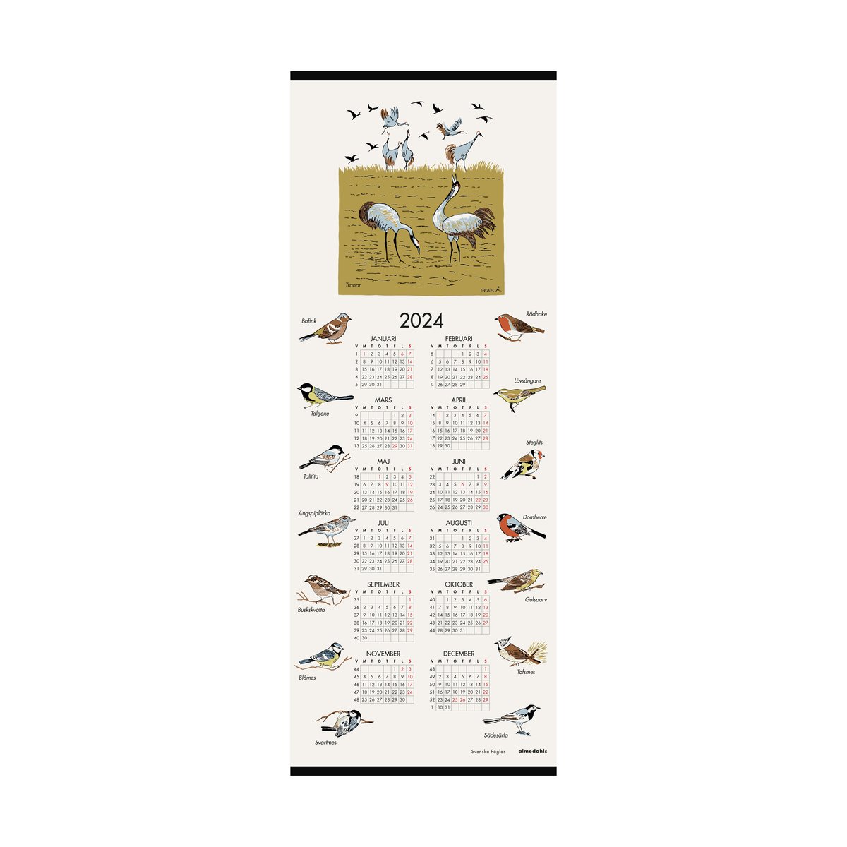 Almedahls Svenske fugle kalender 2024 35×90 cm