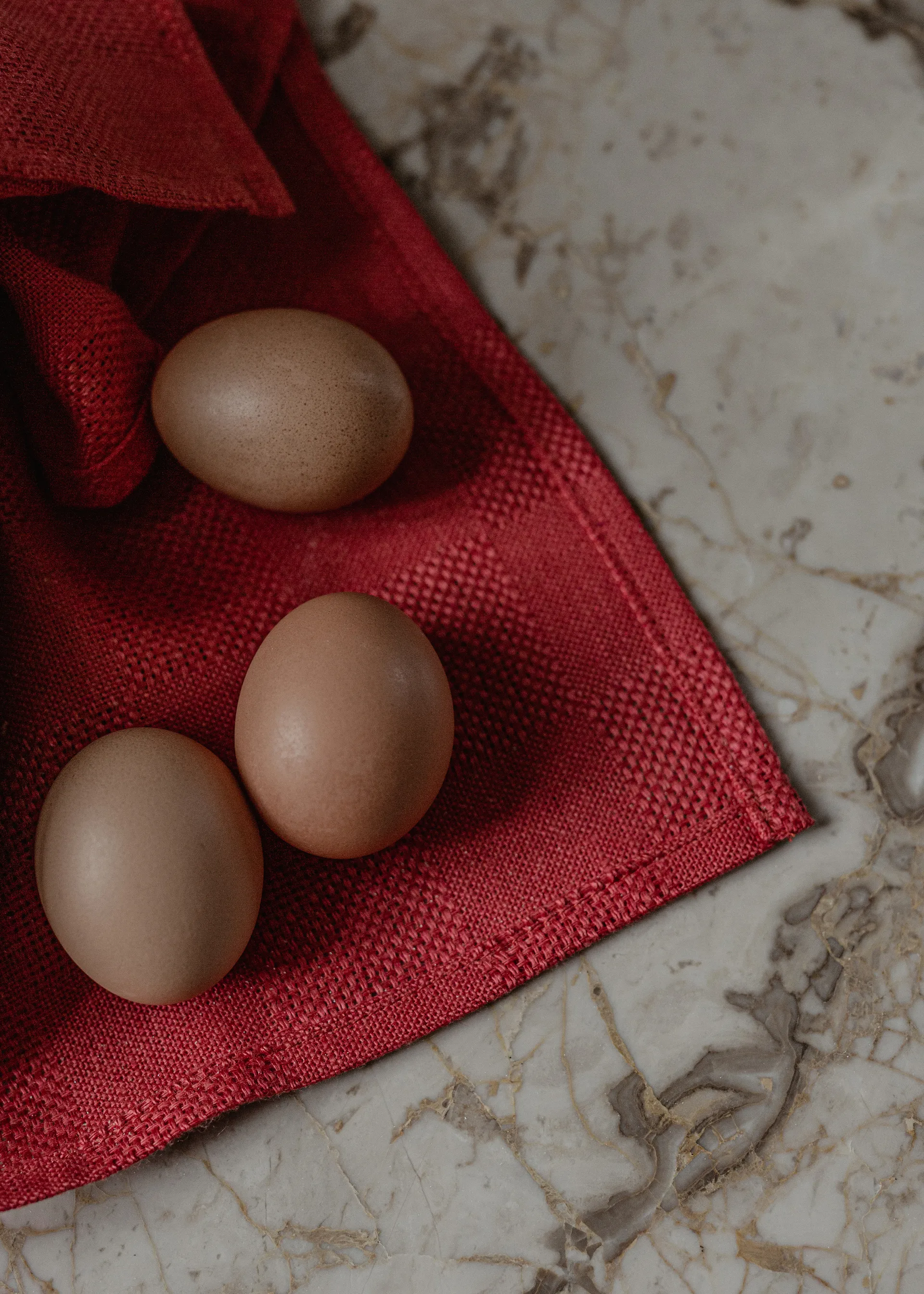 Papilio viskestykke 40x64 cm 2-pak, Burnt sienna/White Audo Copenhagen