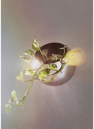 Globe urtepotte væg Ø17 cm - Silver - AYTM