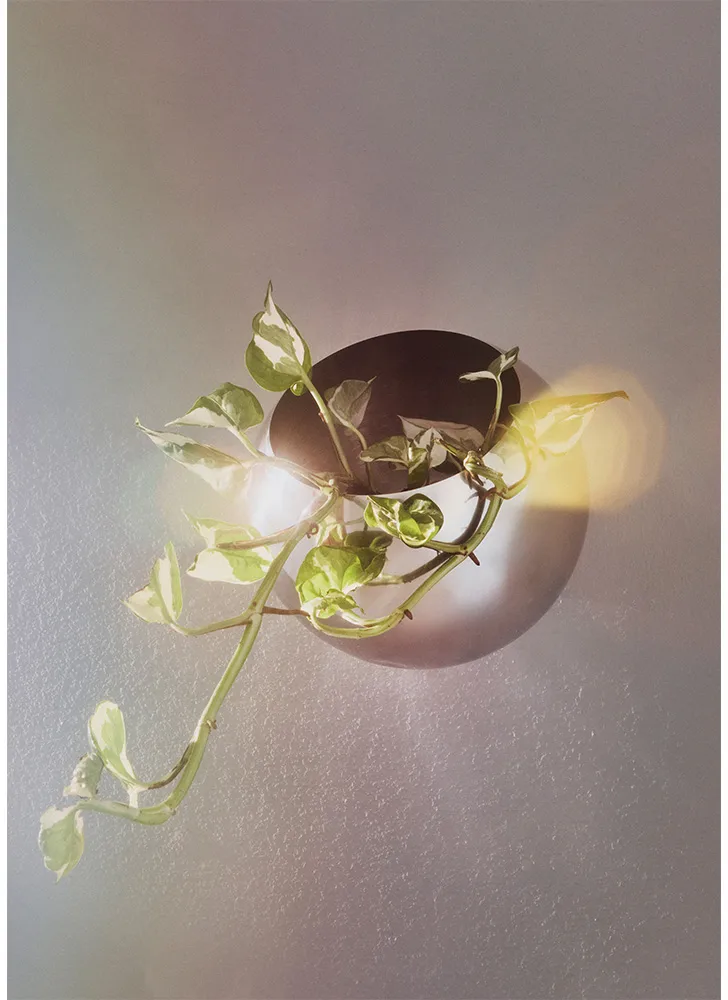 Globe urtepotte væg Ø21 cm, Silver AYTM