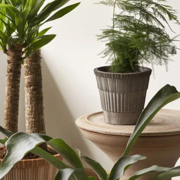 Atlas raw krukke med fad - Grey, Ø16 cm - Bergs Potter