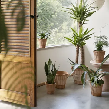 Atlas raw krukke med fad - Rosa, Ø21 cm - Bergs Potter