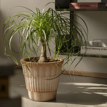 Atlas raw krukke med fad - Rosa, Ø25 cm - Bergs Potter