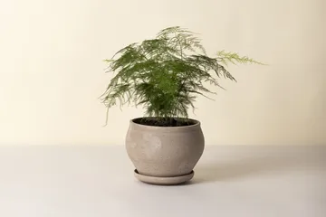 Delphi krukke med underskål 2 dele - Grey, Ø24 cm, low - Bergs Potter