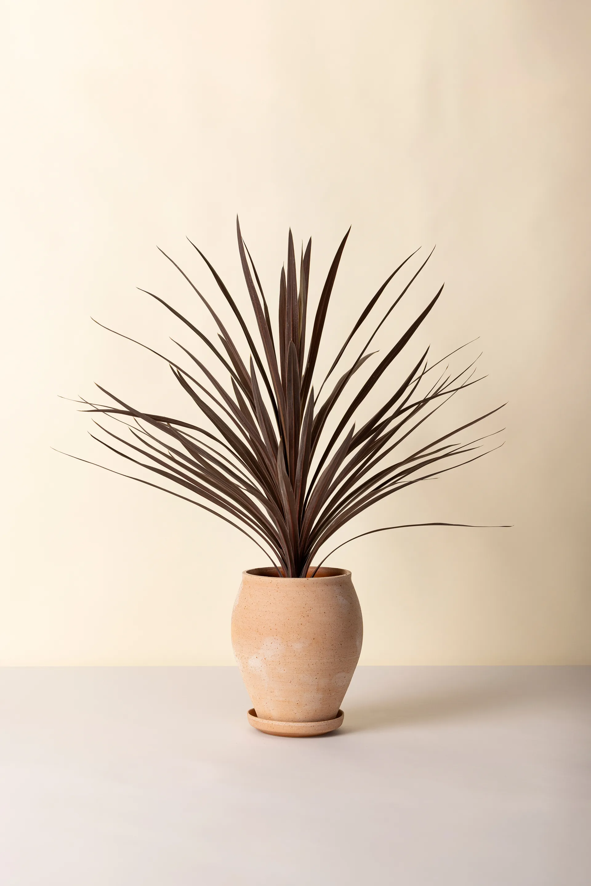 Delphi krukke med underskål 2 dele, Lyserød, Ø22 cm, tall Bergs Potter