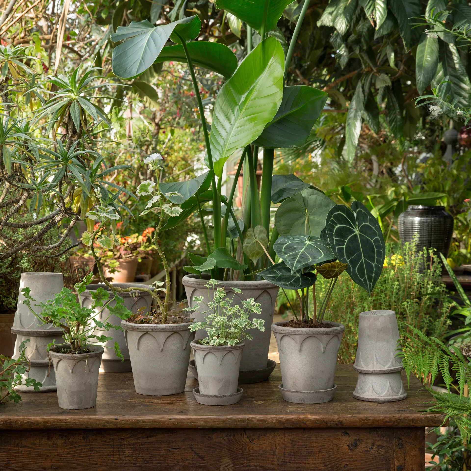 Elizabeth urtepotteskjuler Ø12 cm, Grey Bergs Potter