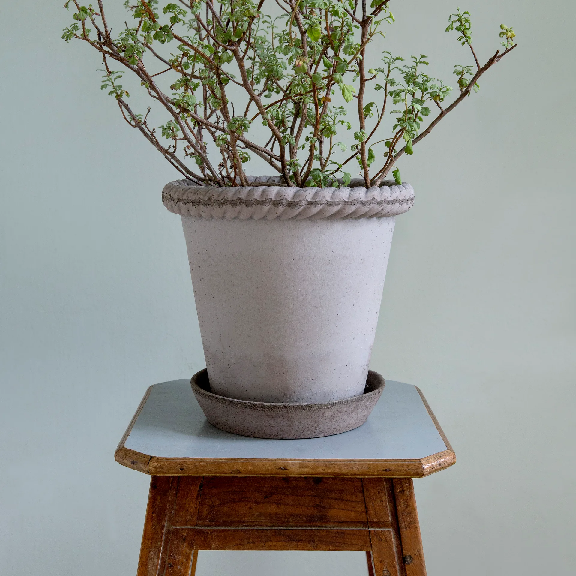 Emilia blomsterkrukke Ø21 cm, Grå Bergs Potter