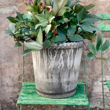 Emilia blomsterkrukke Ø21 cm - Grå - Bergs Potter