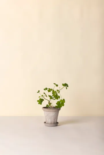 Fleur krukke med underskål 2 dele - Grey, Ø16 cm - Bergs Potter