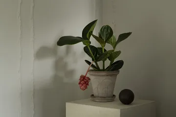 Fleur krukke med underskål 2 dele - Grey, Ø18 cm - Bergs Potter