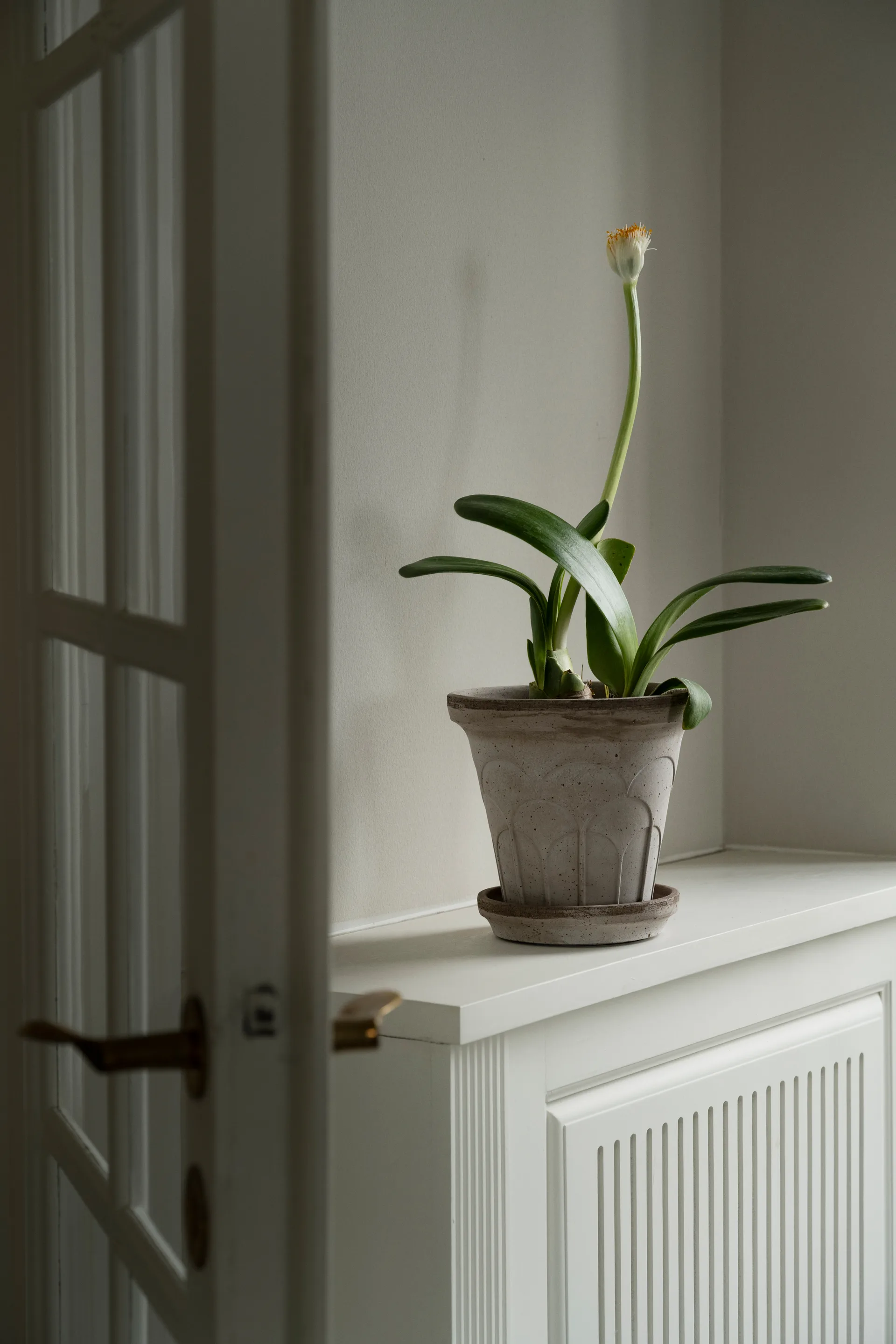 Fleur krukke med underskål 2 dele, Grey, Ø18 cm Bergs Potter