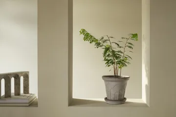 Fleur krukke med underskål 2 dele - Grey, Ø21 cm - Bergs Potter