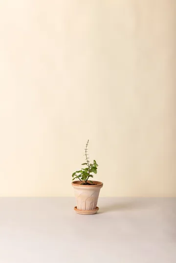 Fleur krukke med underskål 2 dele - Lyserød, Ø14 m - Bergs Potter