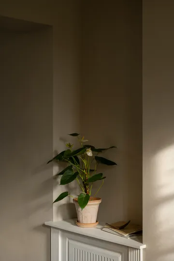 Fleur krukke med underskål 2 dele - Lyserød, Ø16 cm - Bergs Potter