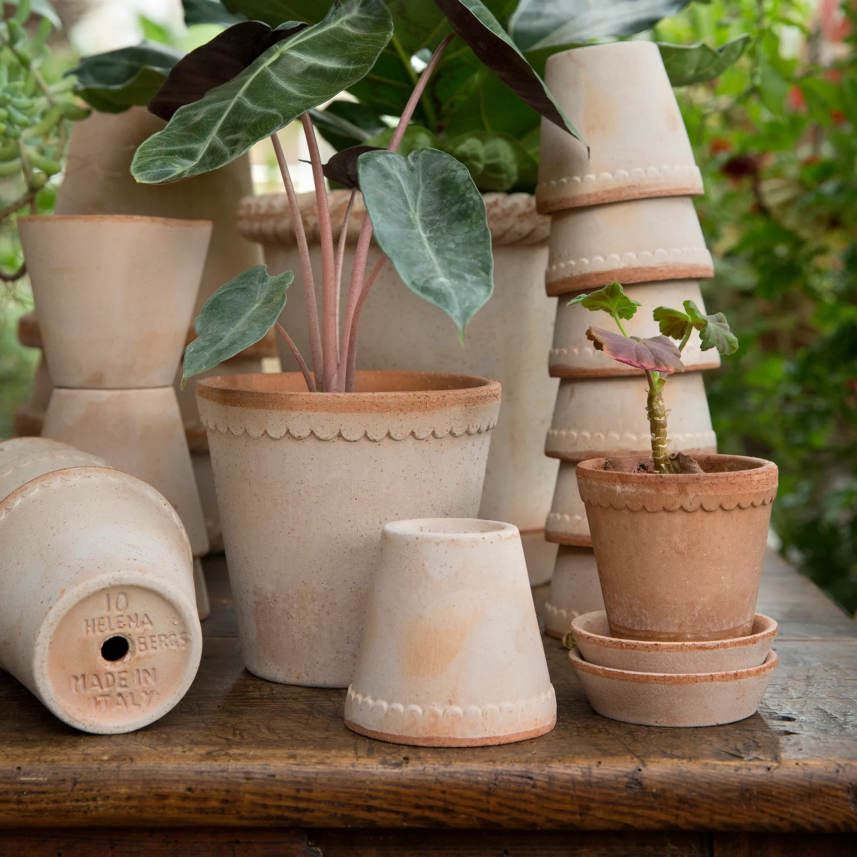 Helena krukke Ø21 cm, Lyserød Bergs Potter