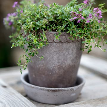 Helena urtepotte Ø10 cm - Grå - Bergs Potter