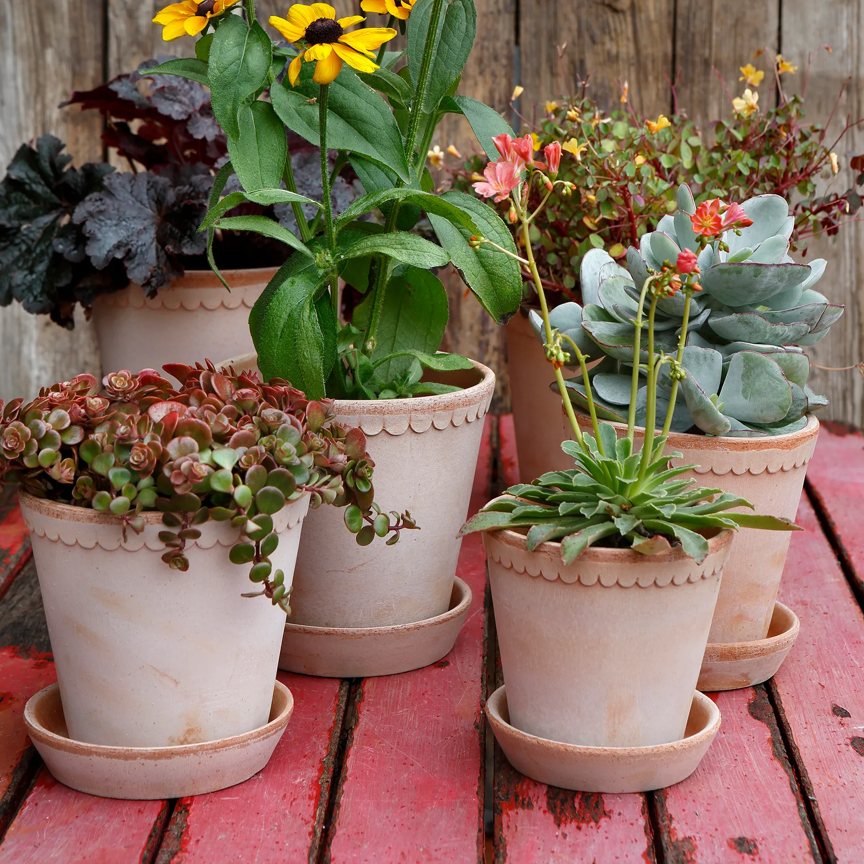 Helena urtepotte Ø16 cm, Lyserød Bergs Potter