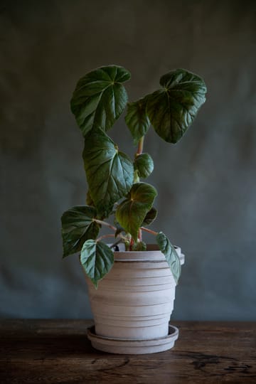 Planet Jupiter krukke 25 cm - Grå - Bergs Potter
