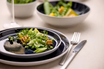 Bitz tallerken gastro Ø27 cm - Hvid-mørkeblå - Bitz