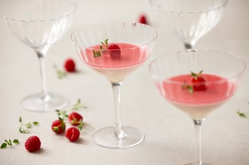 Blomsterbergs dessertglas 430 ml 4-pak - Glas - Blomsterbergs