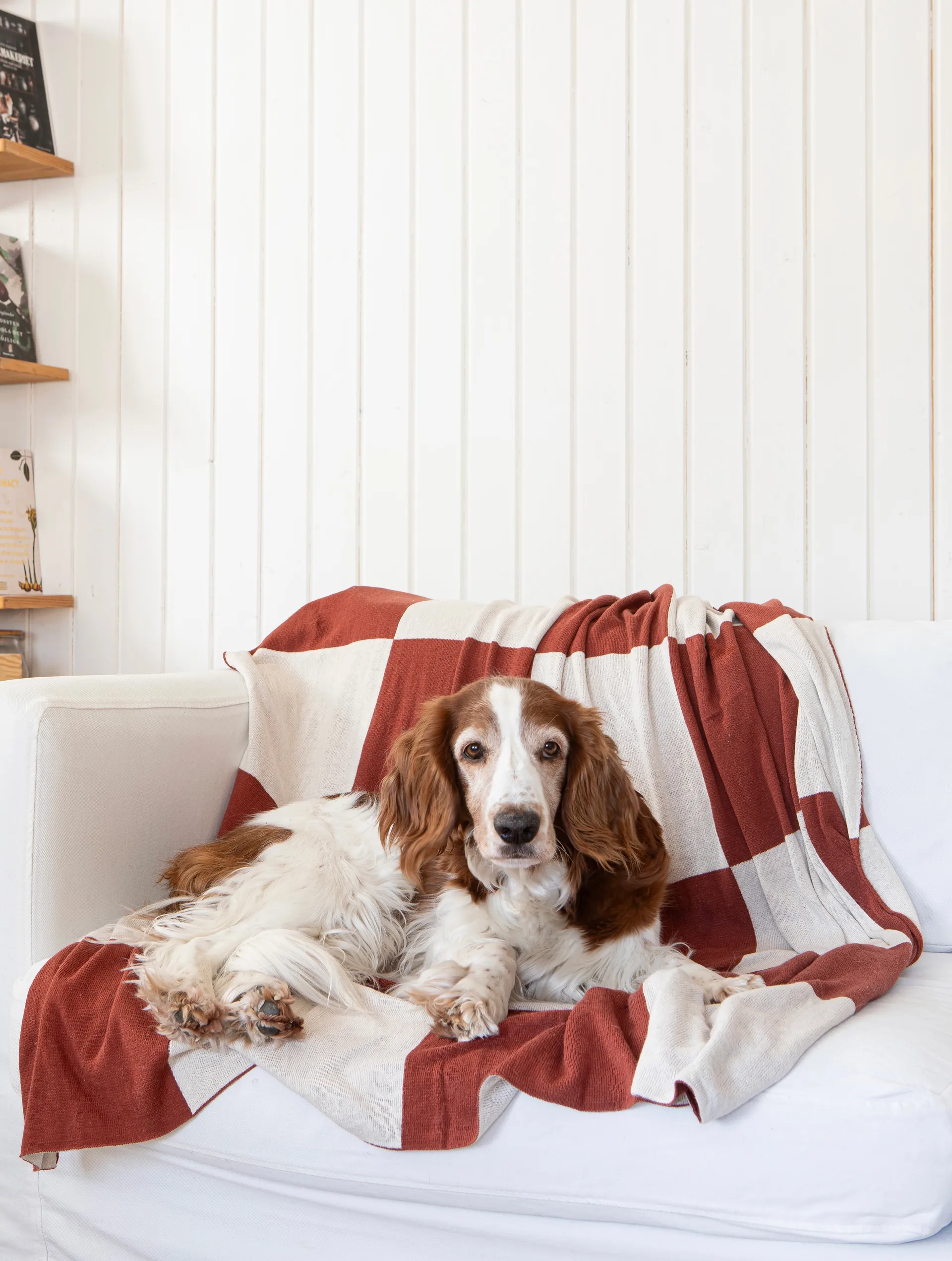 Square plaid 130x170 cm, Mørk Brown Classic Collection