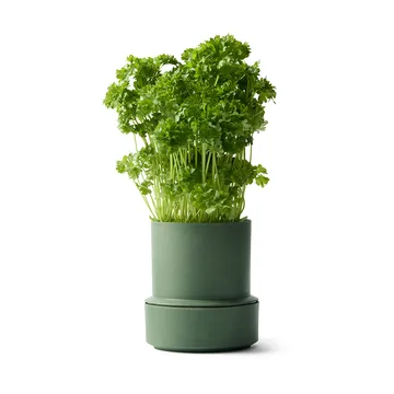 Billund selvvandende urtepotte - Parsley - Crushgrind