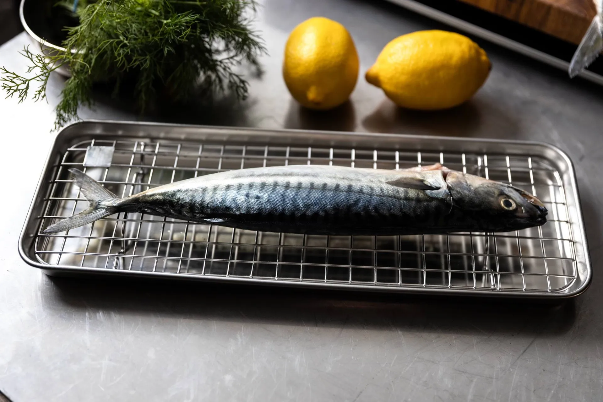 Culimat gastro fad med afkølingsrist, Rustfrit stål, 38x14x2,5 cm Culimat