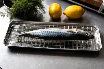 Culimat gastro fad med afkølingsrist - Rustfrit stål, 38x14x2,5 cm - Culimat