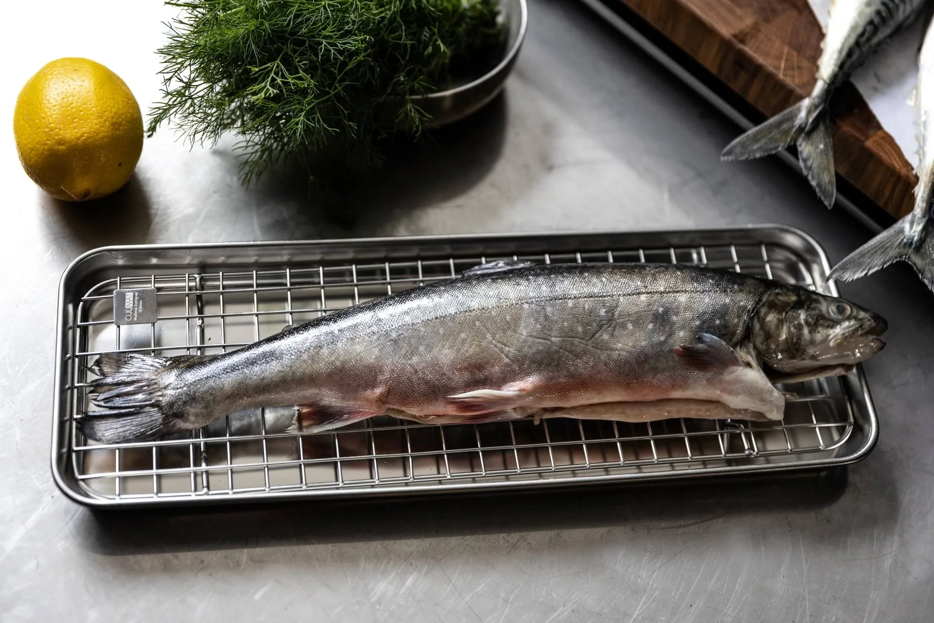 Culimat gastro fad med afkølingsrist, Rustfrit stål, 38x14x2,5 cm Culimat