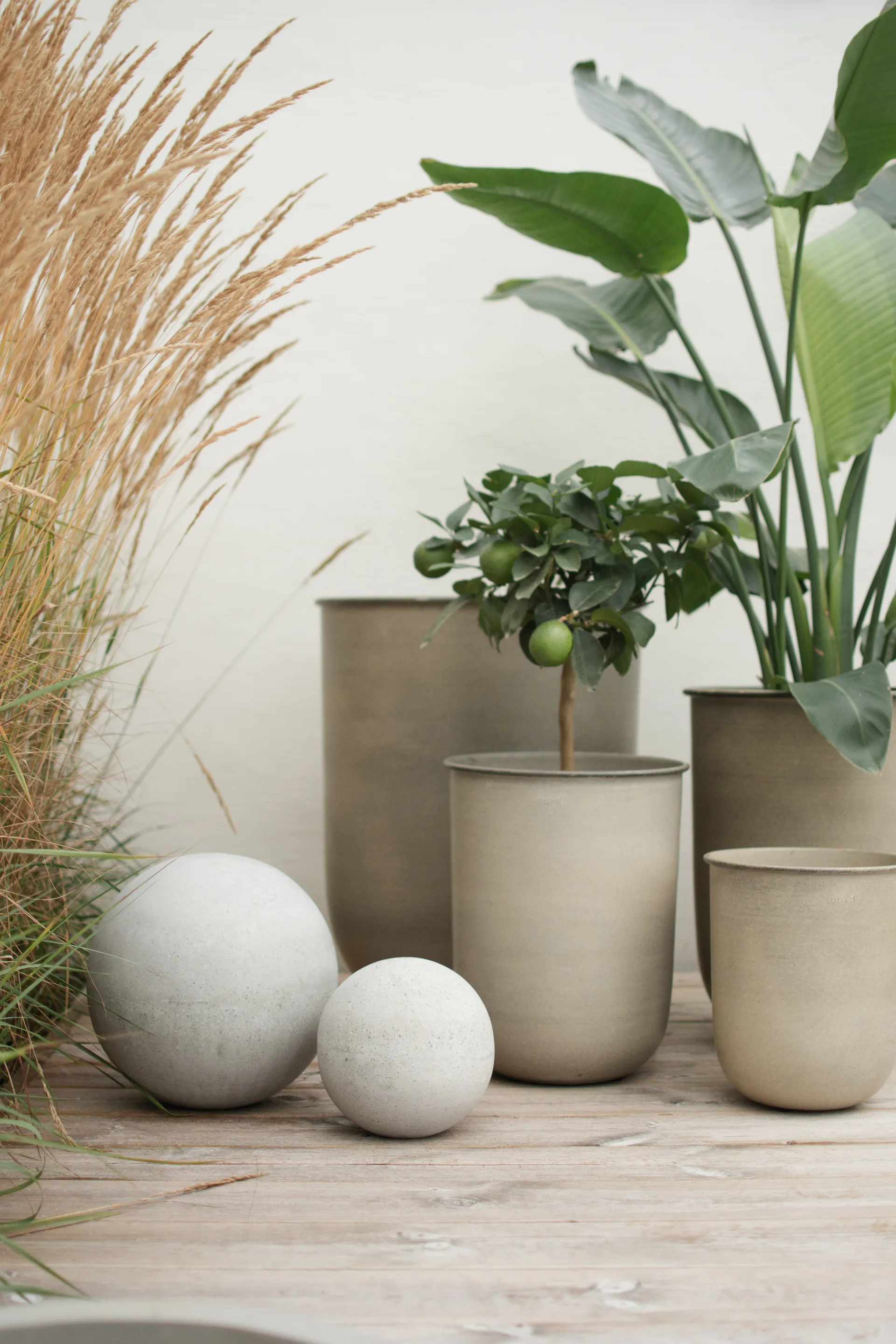 Out krukke 4 dele, Beige DBKD