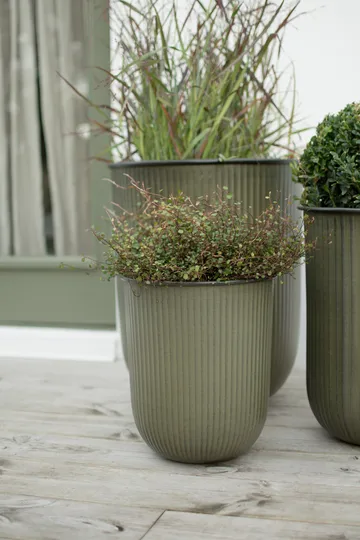 Out stripe krukke 3 dele - Green - DBKD