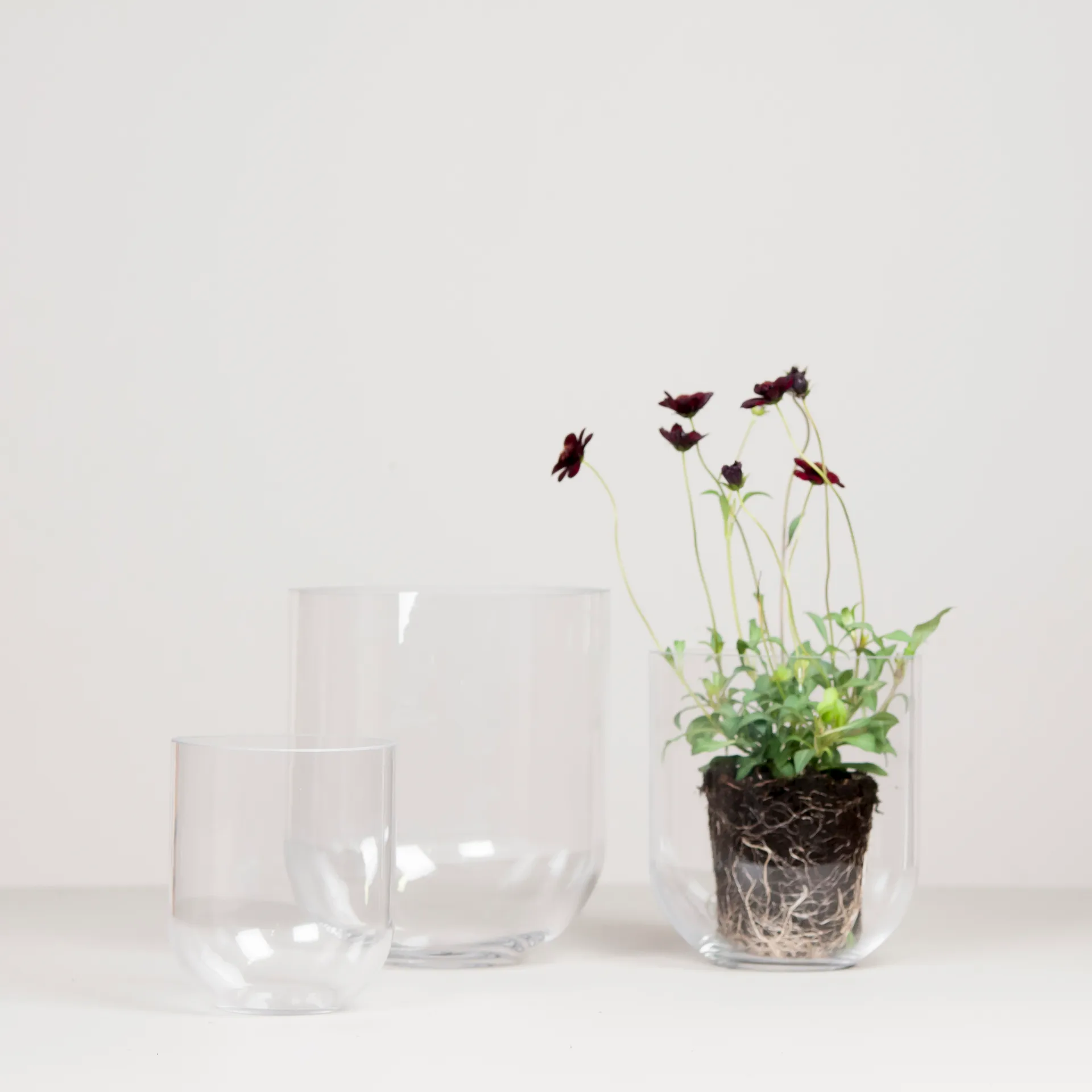 Simple glasvase small, Clear DBKD