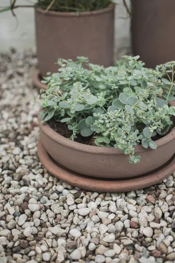 Terra bowl krukke - Brown, Ø30x10,5 cm - DBKD