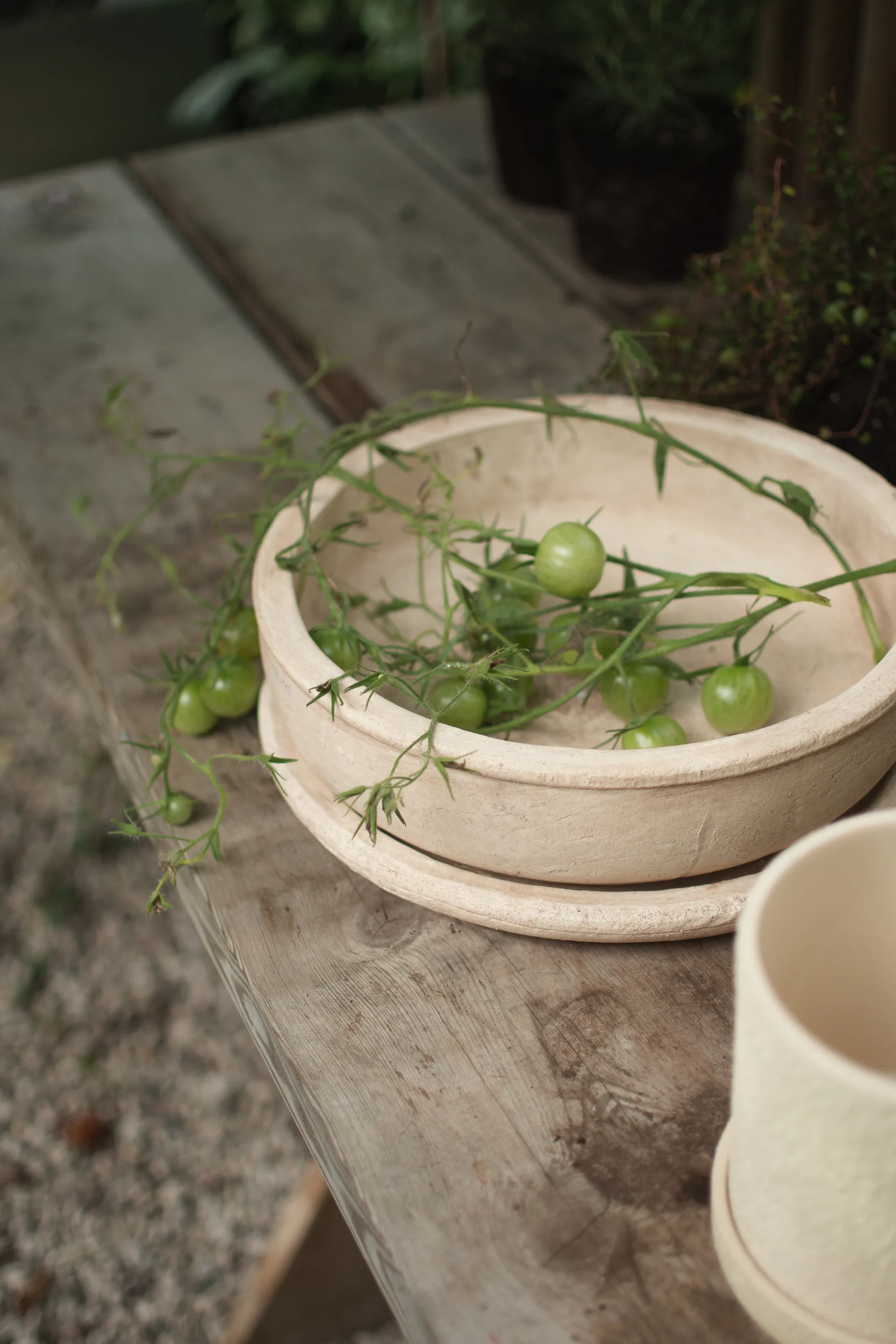 Terra bowl krukke, Sand, Ø30 x 10,5 cm DBKD