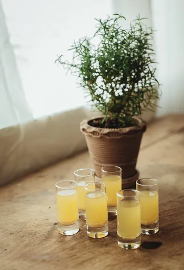 Saba snapseglas - Raka, 6-pak, 6 cl - Dorre