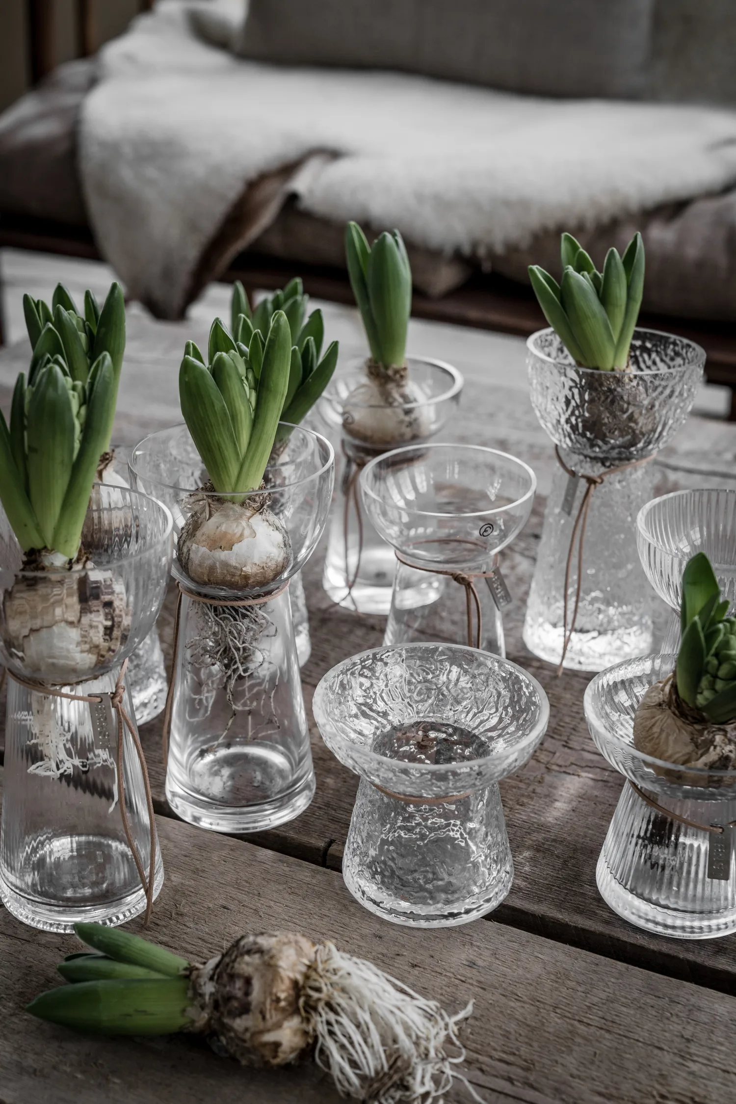 Ernst løgvase riflet, 19 cm ERNST