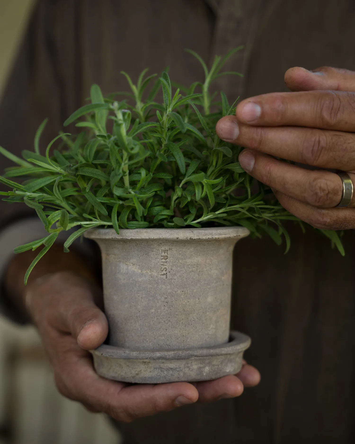 Ernst terrakotta krukke med underskål, Ø12×10 cm ERNST