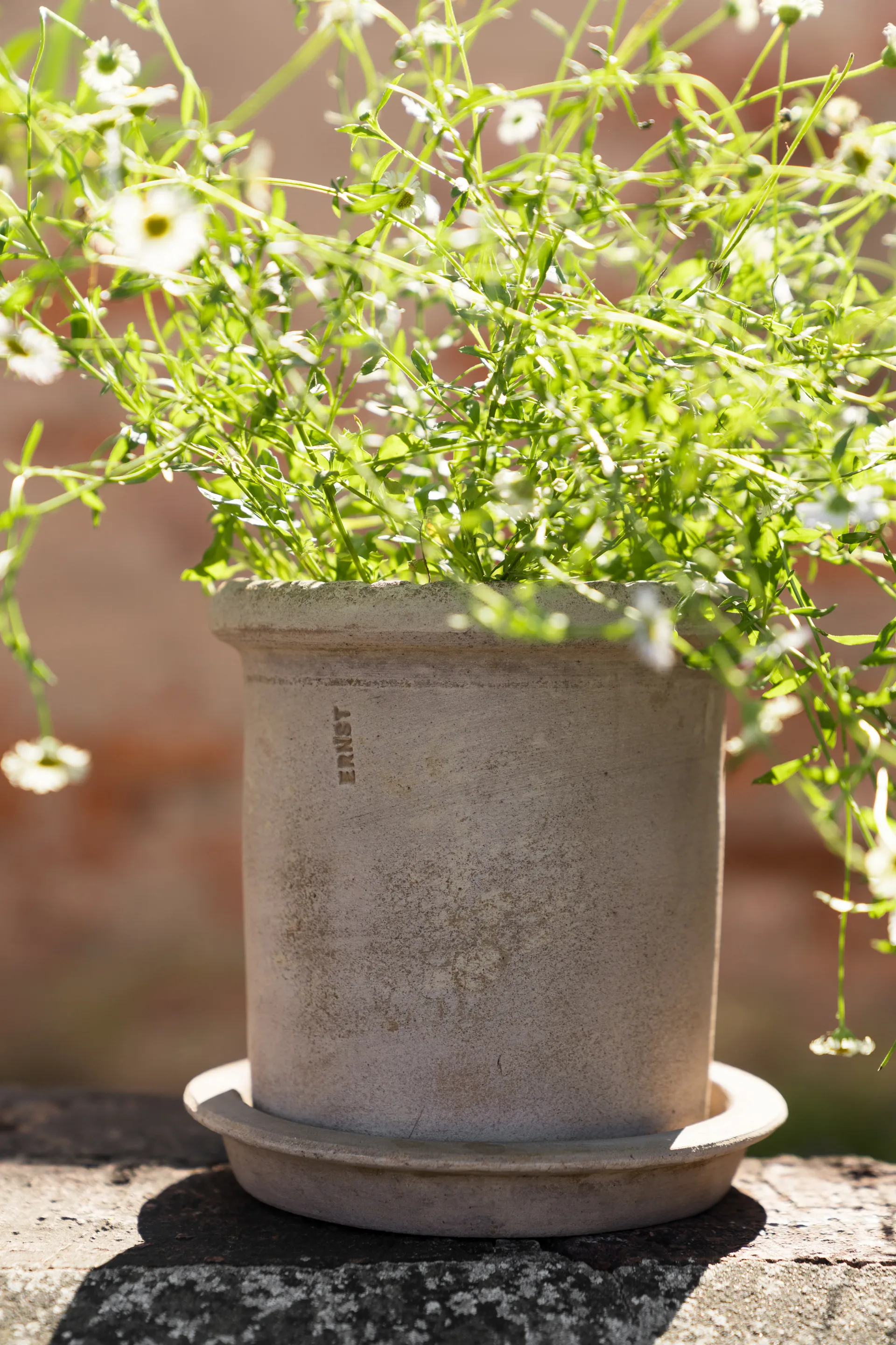 Ernst terrakotta krukke med underskål, Ø16 × 16 cm ERNST