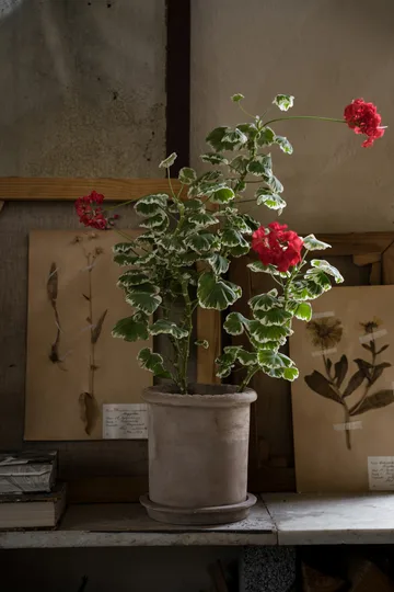 Ernst terrakotta krukke med underskål - Ø20 × 20 cm - ERNST