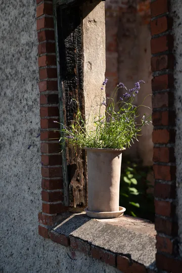 Ernst terrakotta krukke med underskål - Ø25x35 cm - ERNST