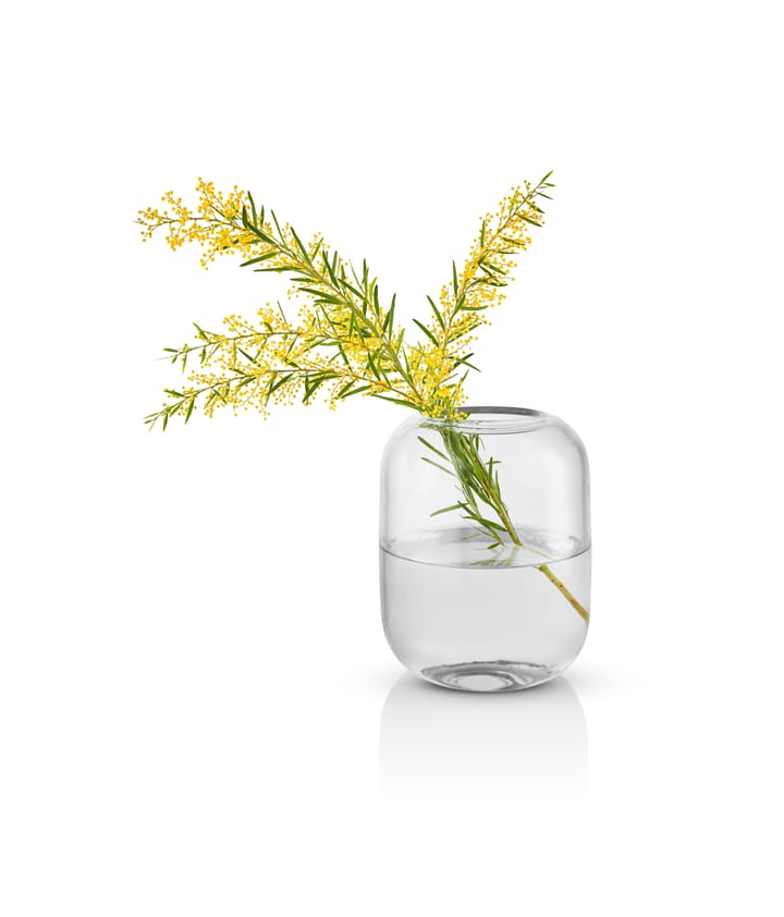 Acorn vase 16,5 cm, Clear Eva Solo