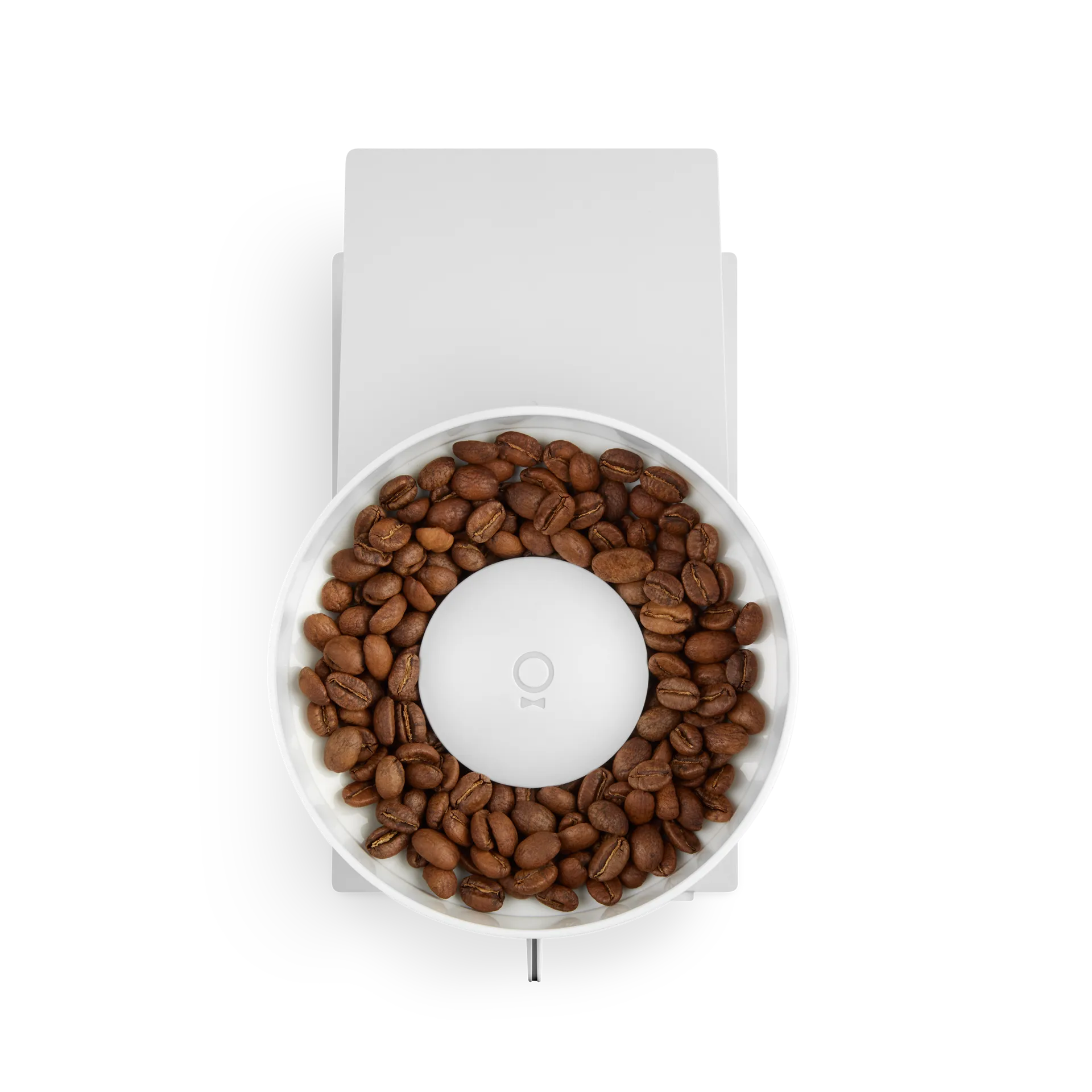 Opus Conical Burr kaffekværn, Hvid Fellow