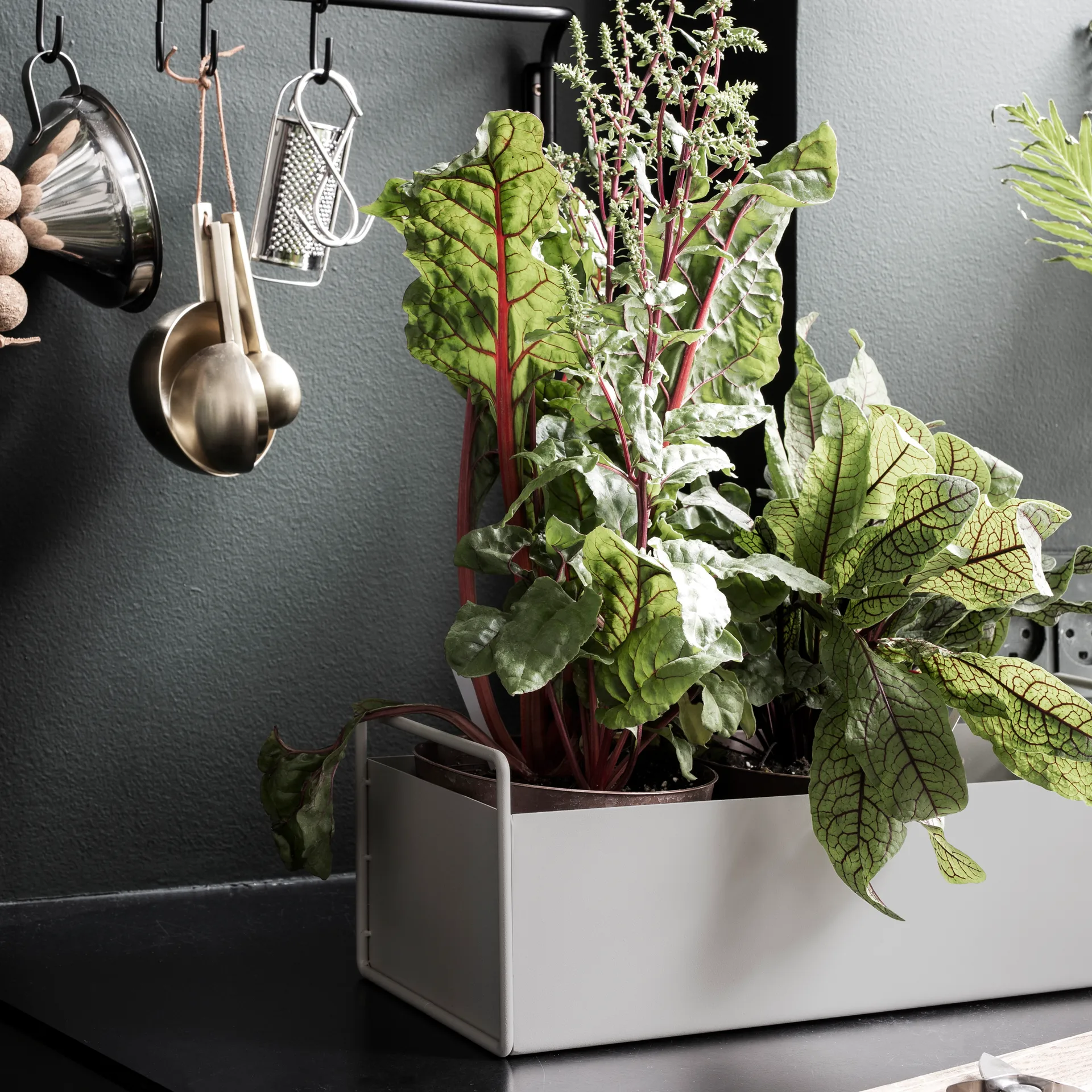 Ferm Living plant box small, lysegrå Ferm Living