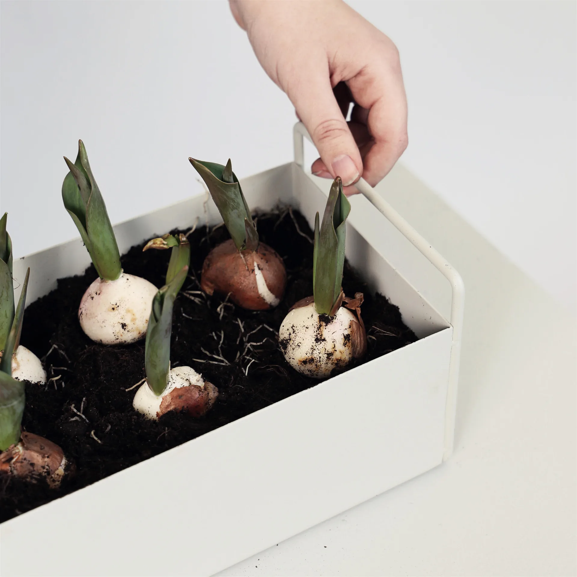Ferm Living plant box small, lysegrå Ferm Living